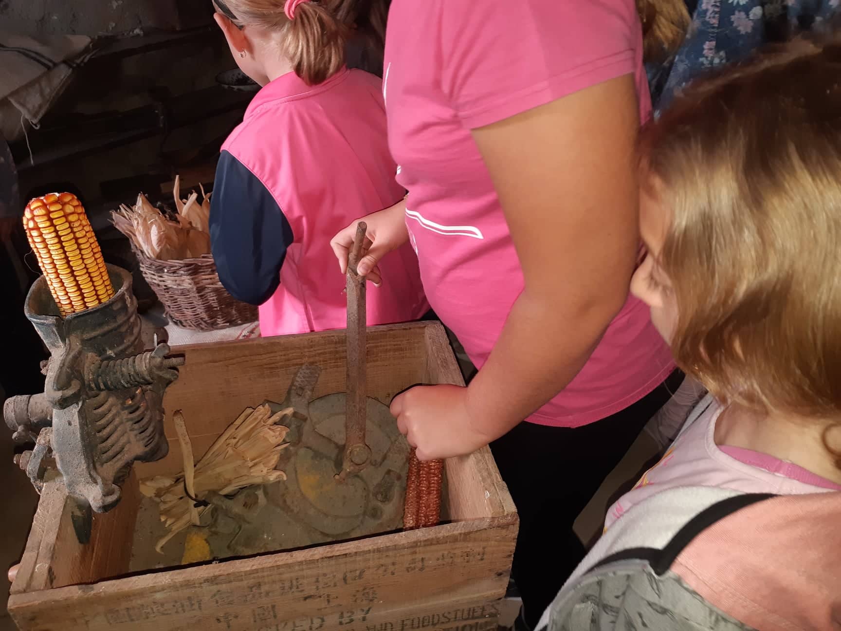 58461389 612573882487020 6086538514692833280 N