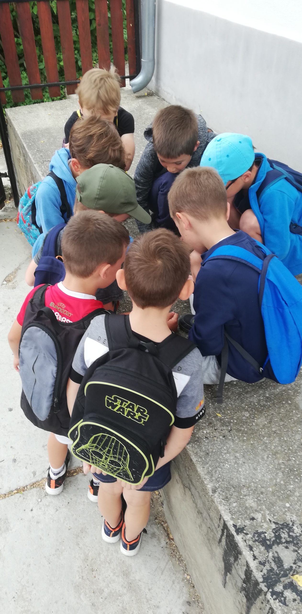 IMG 20210705 092145 Scaled.jpg