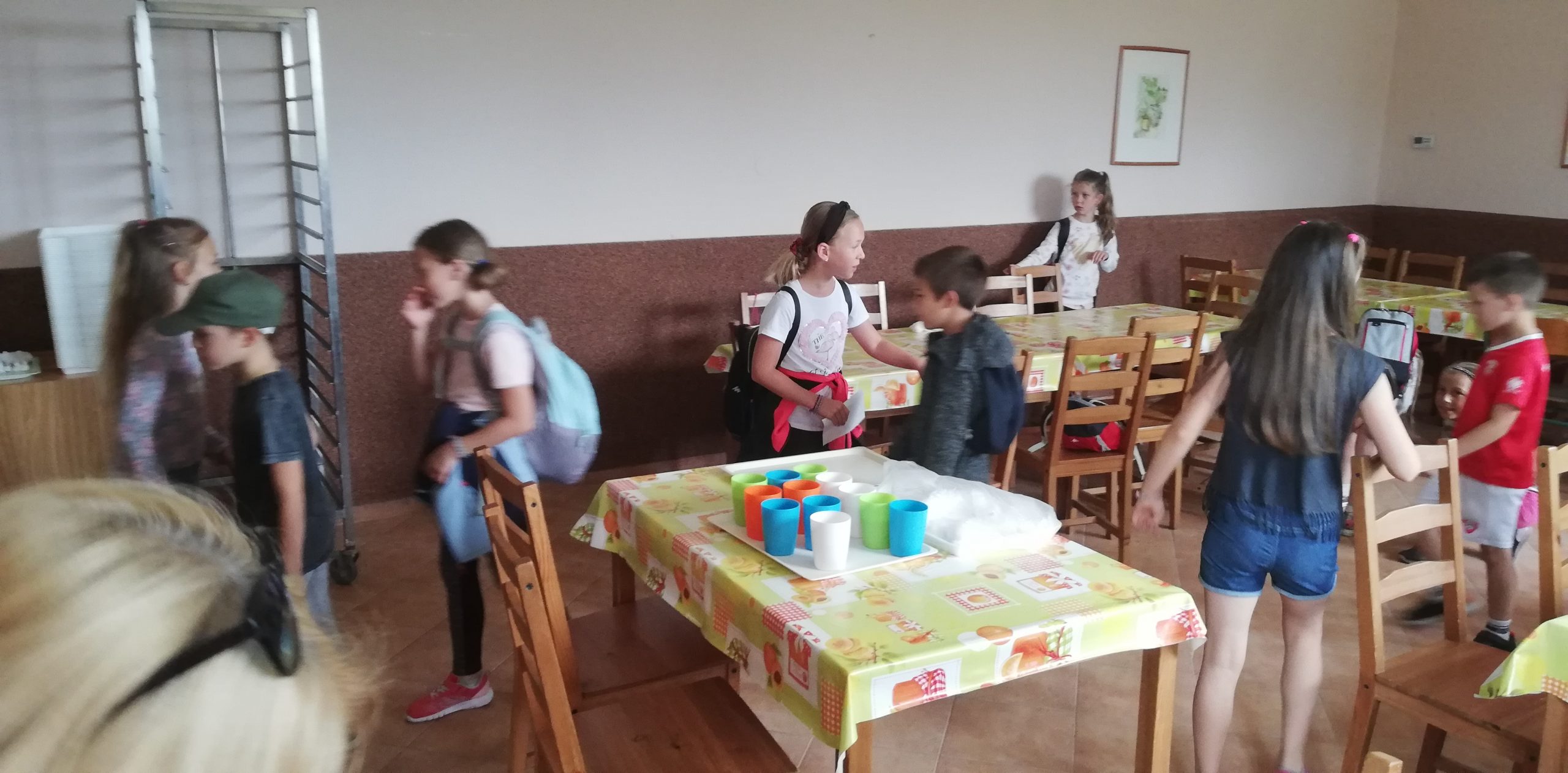 IMG 20210705 104329 Scaled.jpg