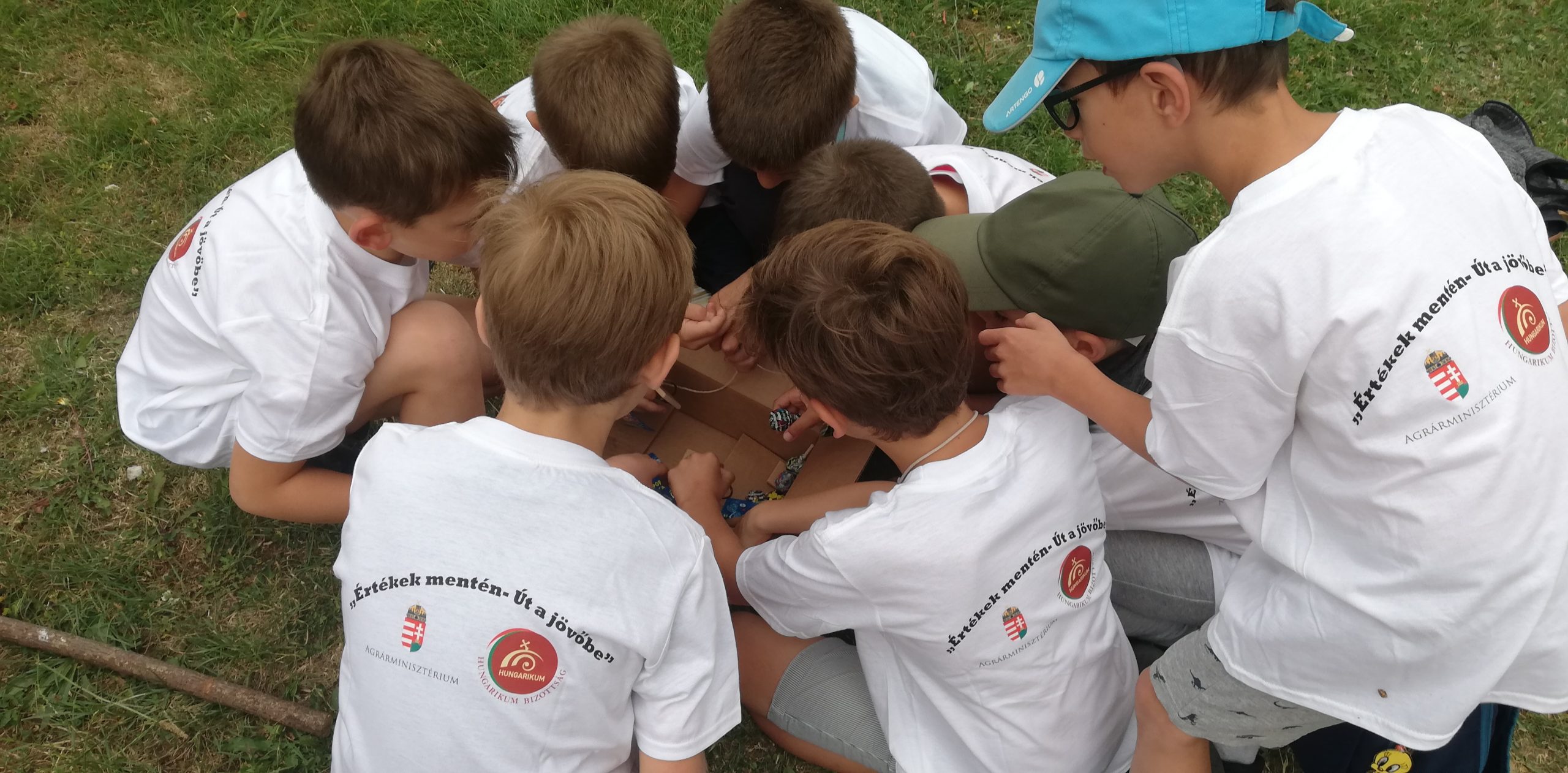 IMG 20210705 105347 Scaled.jpg