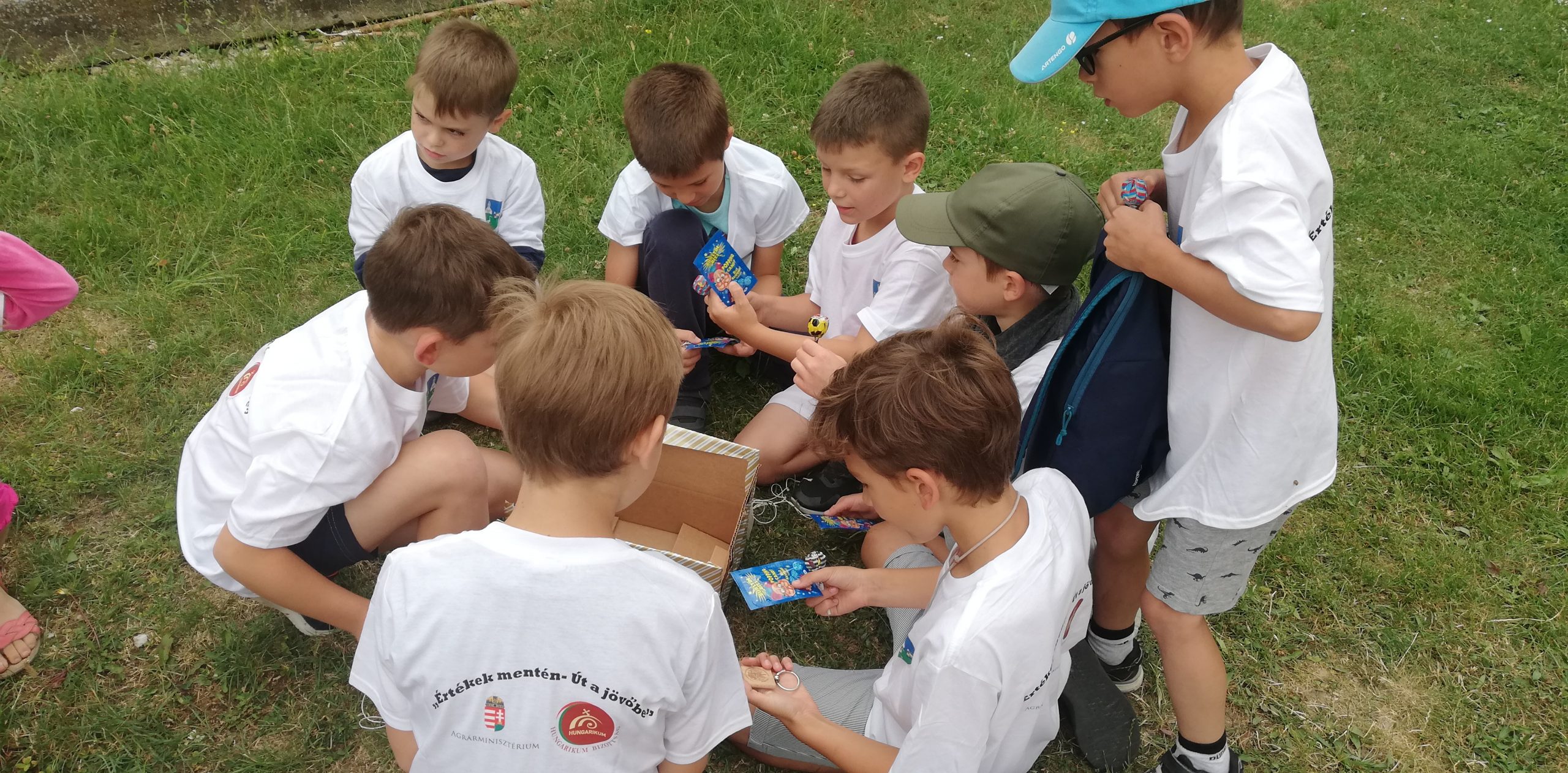 IMG 20210705 105357 Scaled.jpg