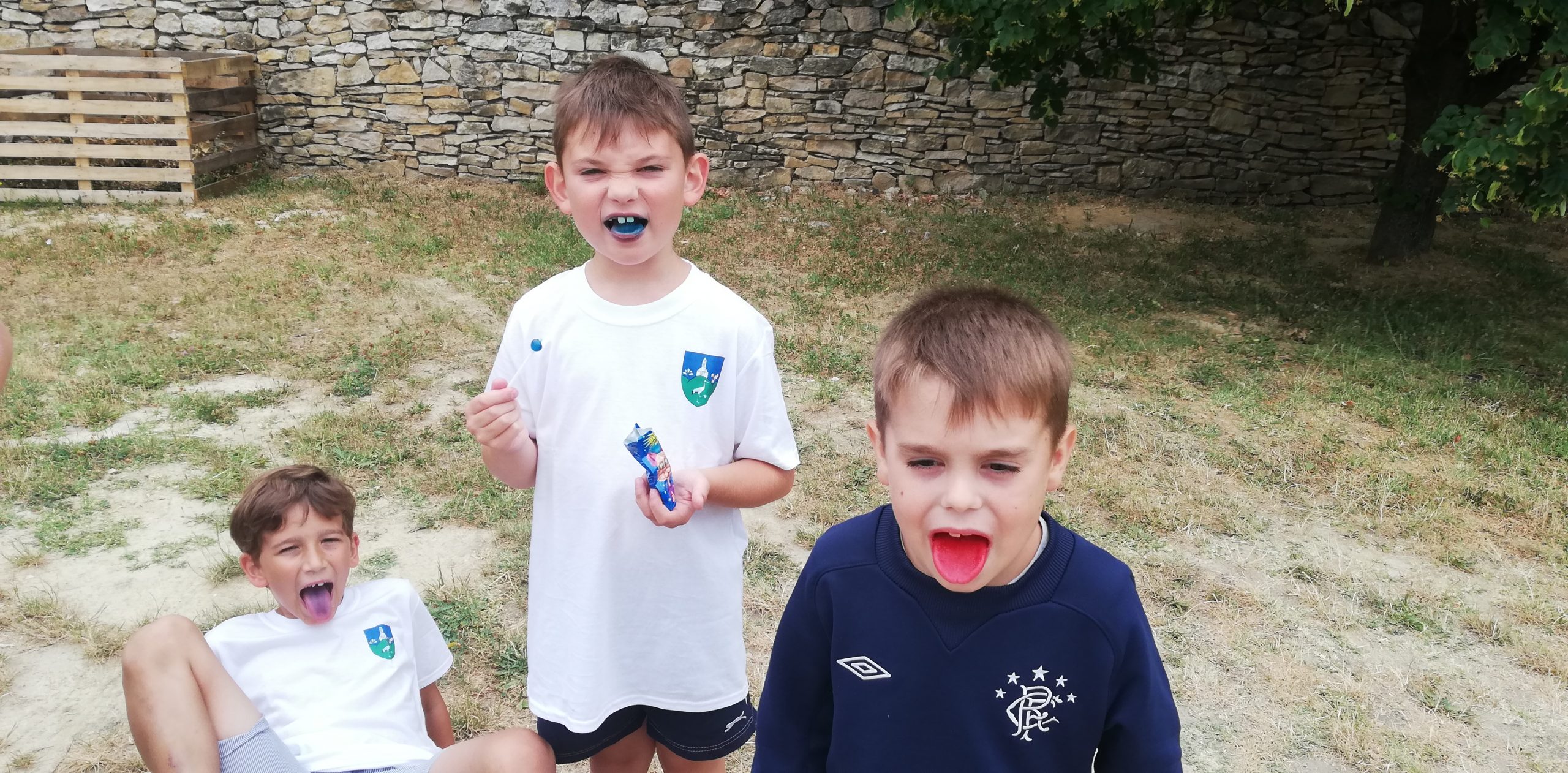 IMG 20210705 112504 Scaled.jpg