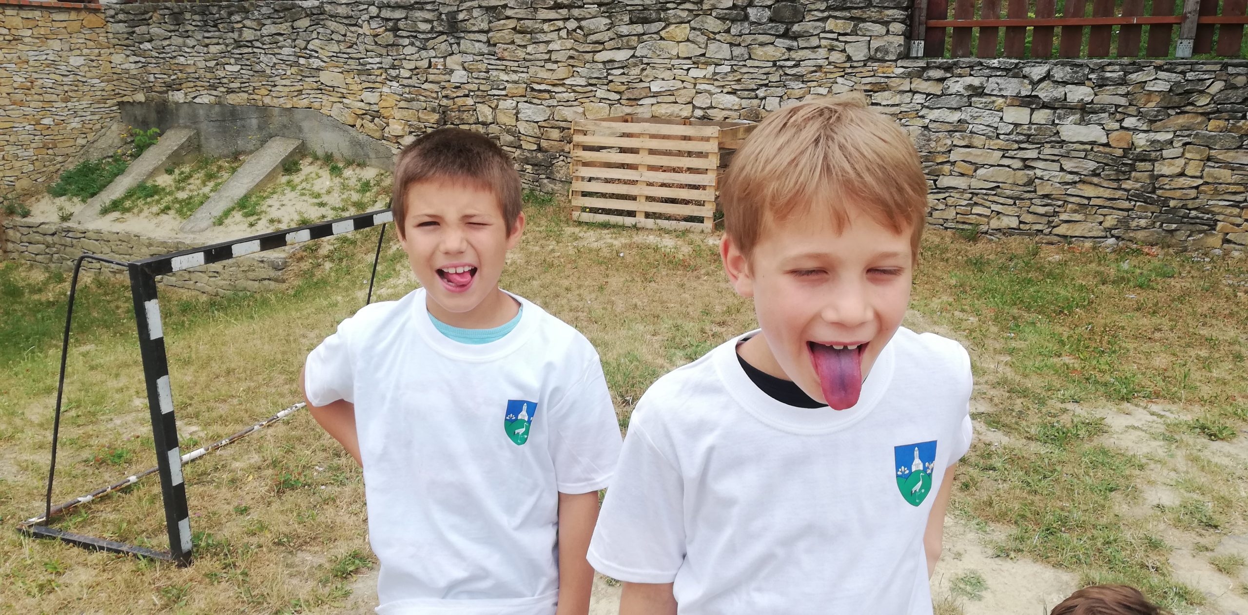 IMG 20210705 112507 Scaled.jpg