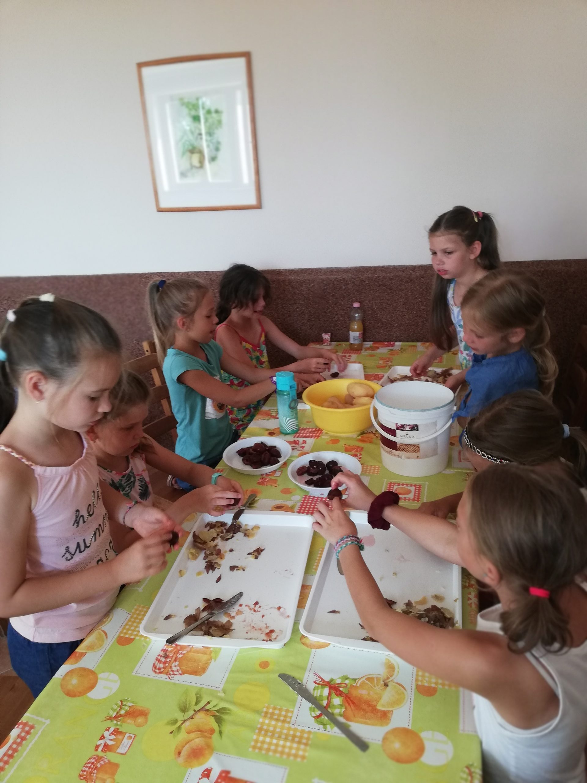 IMG 20210707 101016 Scaled.jpg