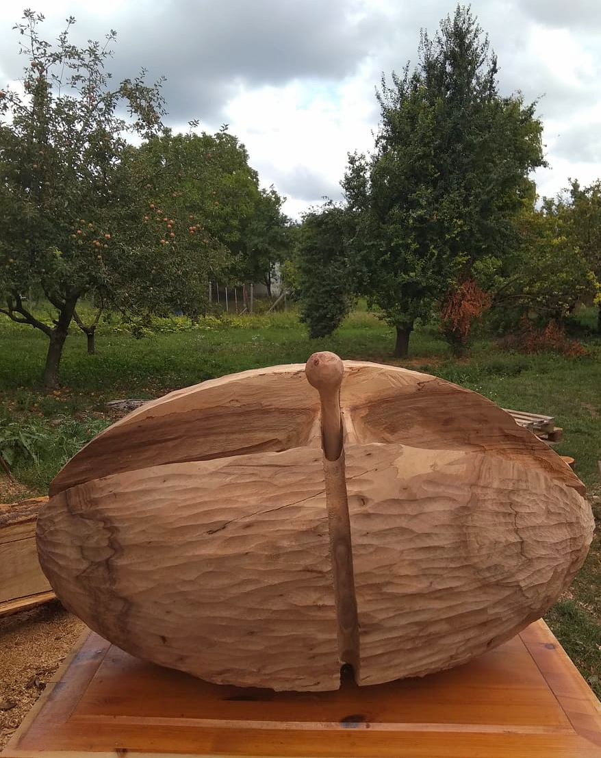 240152200 559955885147127 7298873088213640856 N.jpg