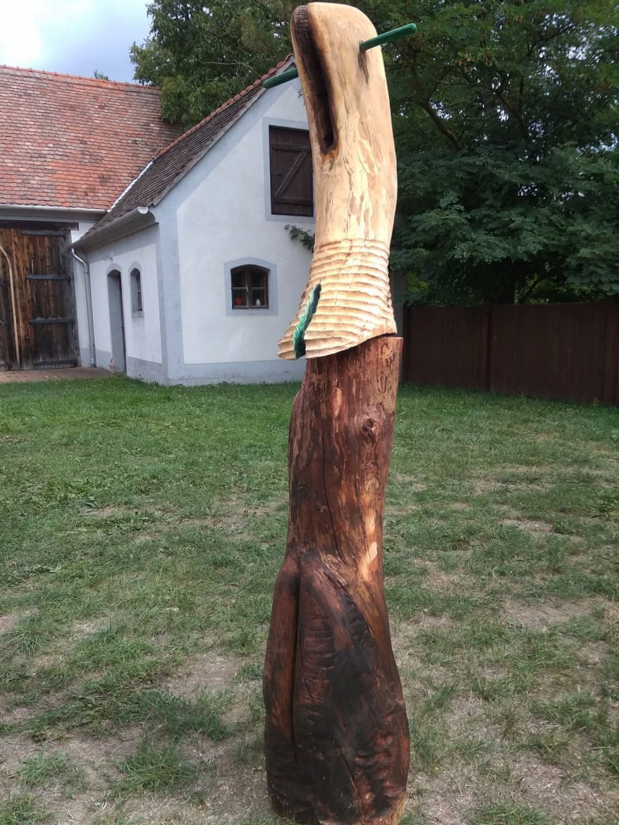 240951886 908094096469366 8945018157616533022 N.jpg