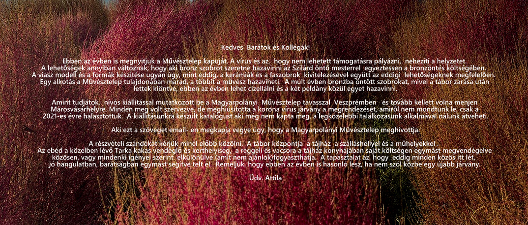 Teljes Kepernyo Rogzitese 2020. 08. 09. 74458.jpg