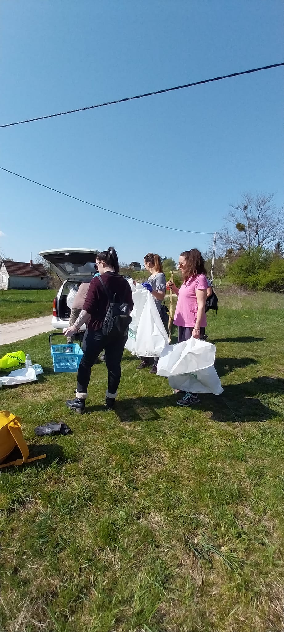 343130268 241940448352264 8421464322894198571 N 1.jpg