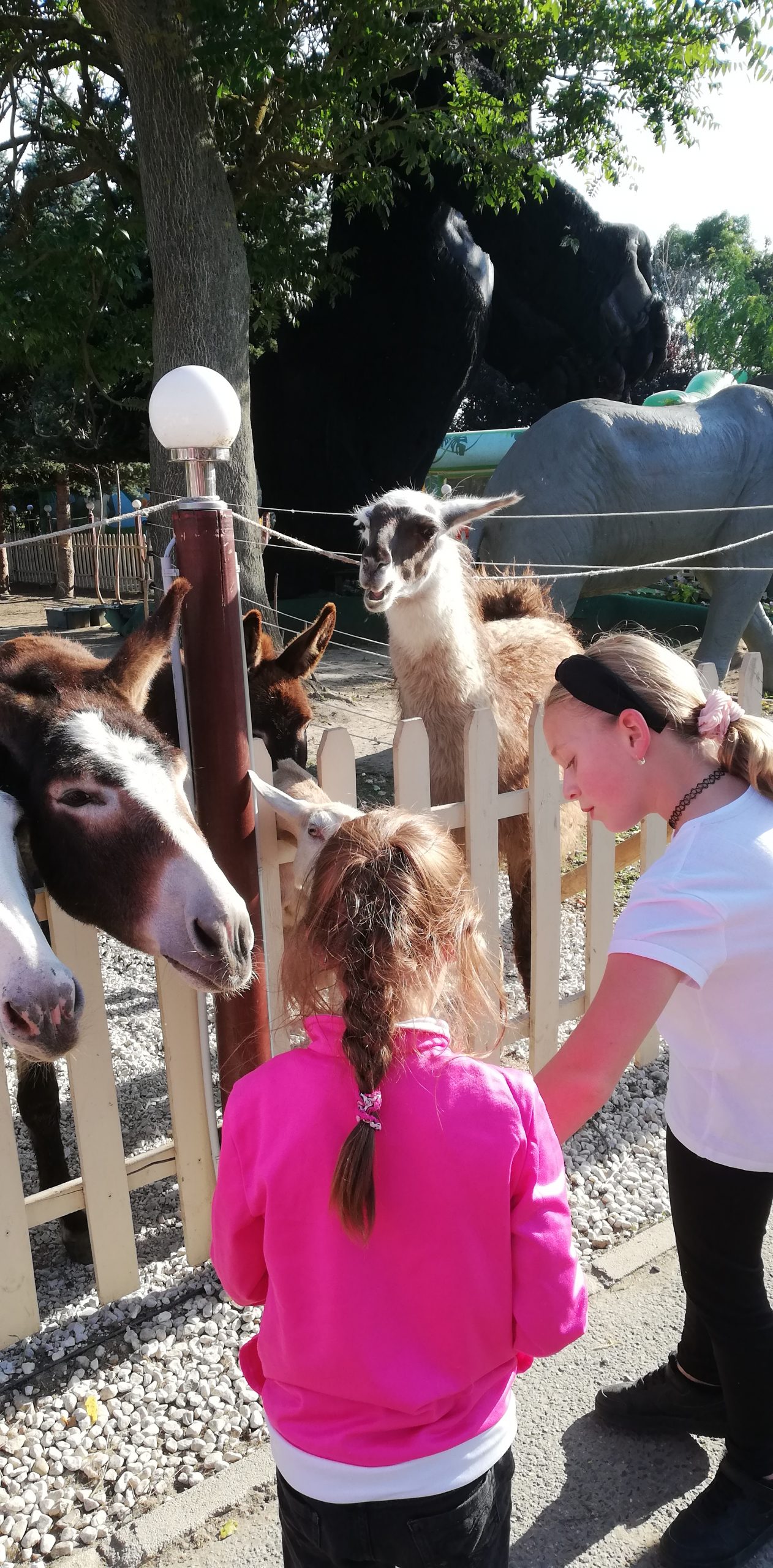 IMG 20211002 155144 Scaled.jpg