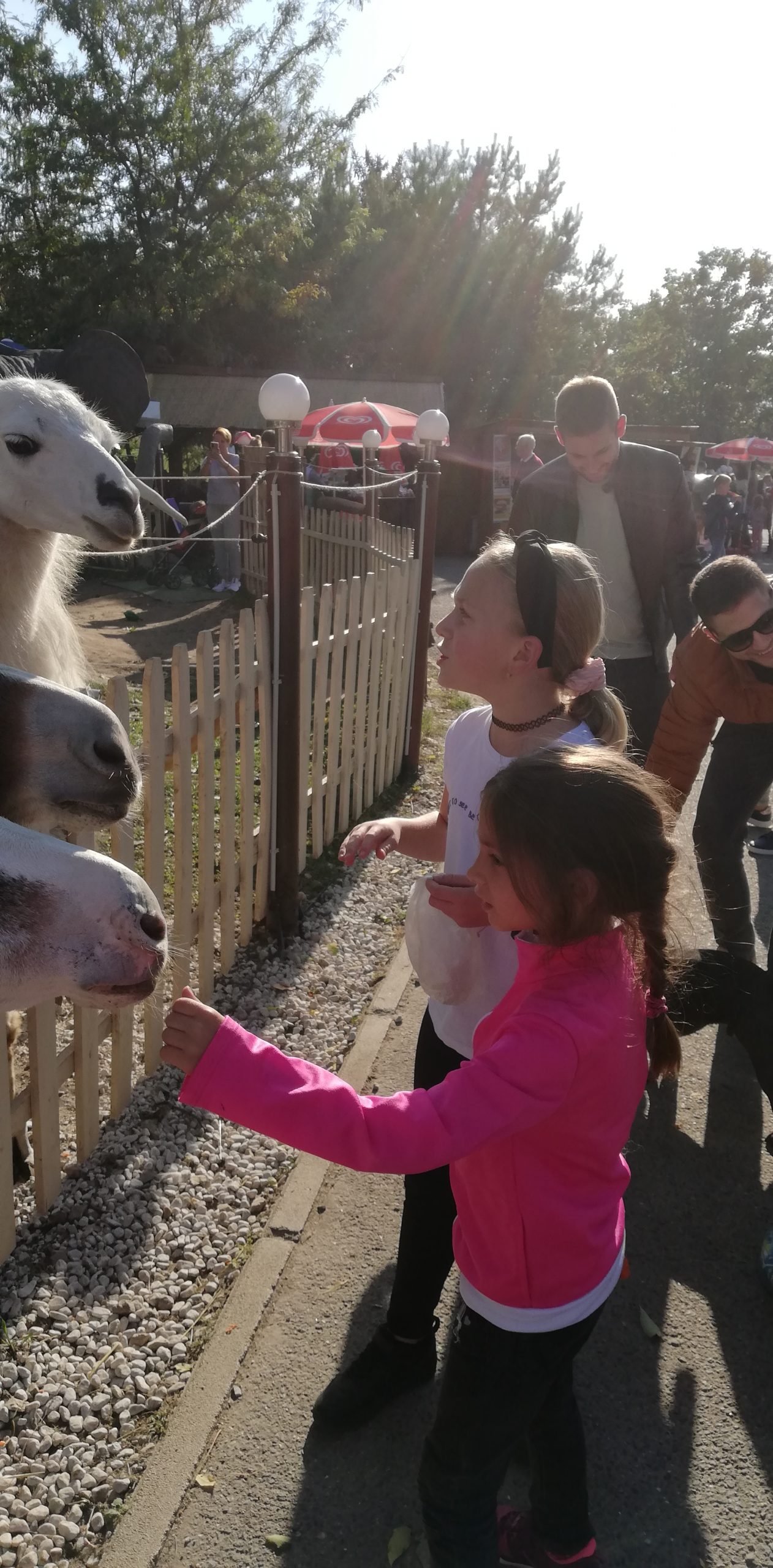 IMG 20211002 155205 Scaled.jpg