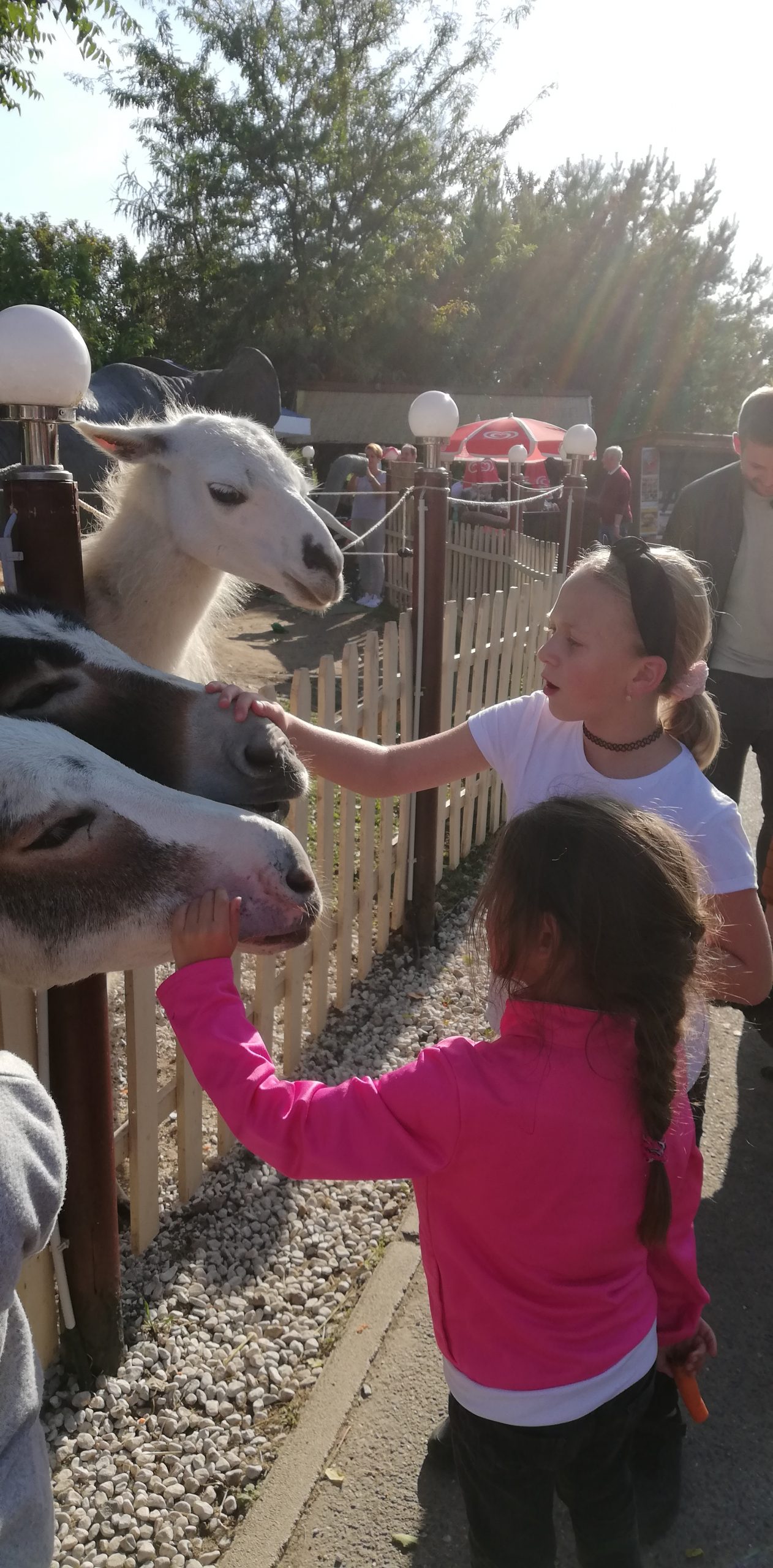 IMG 20211002 155206 Scaled.jpg