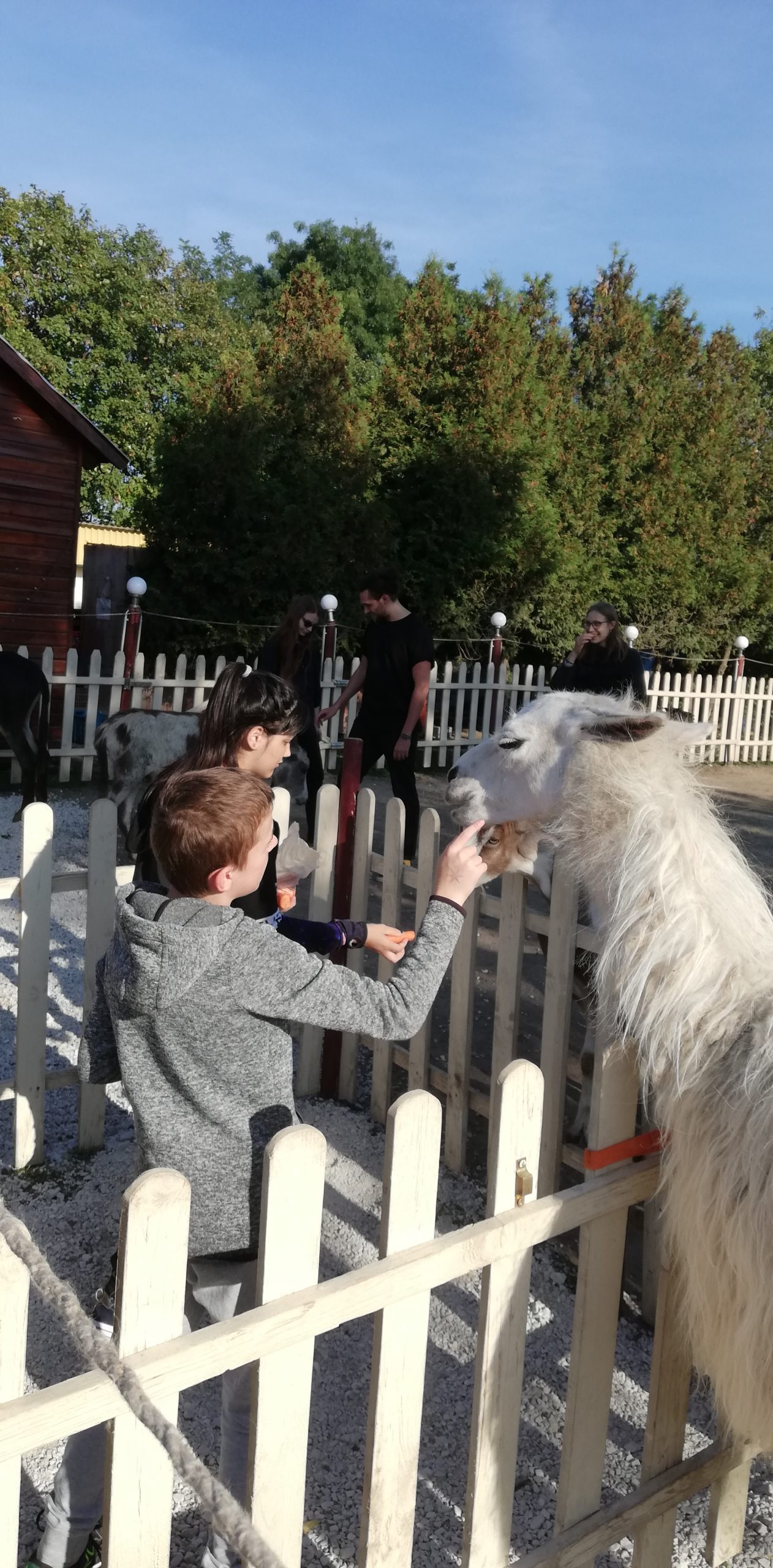 IMG 20211002 155330 Scaled.jpg