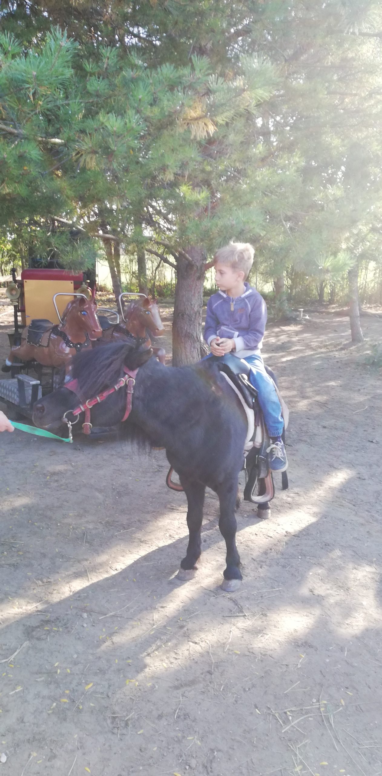 IMG 20211002 161153 Scaled.jpg