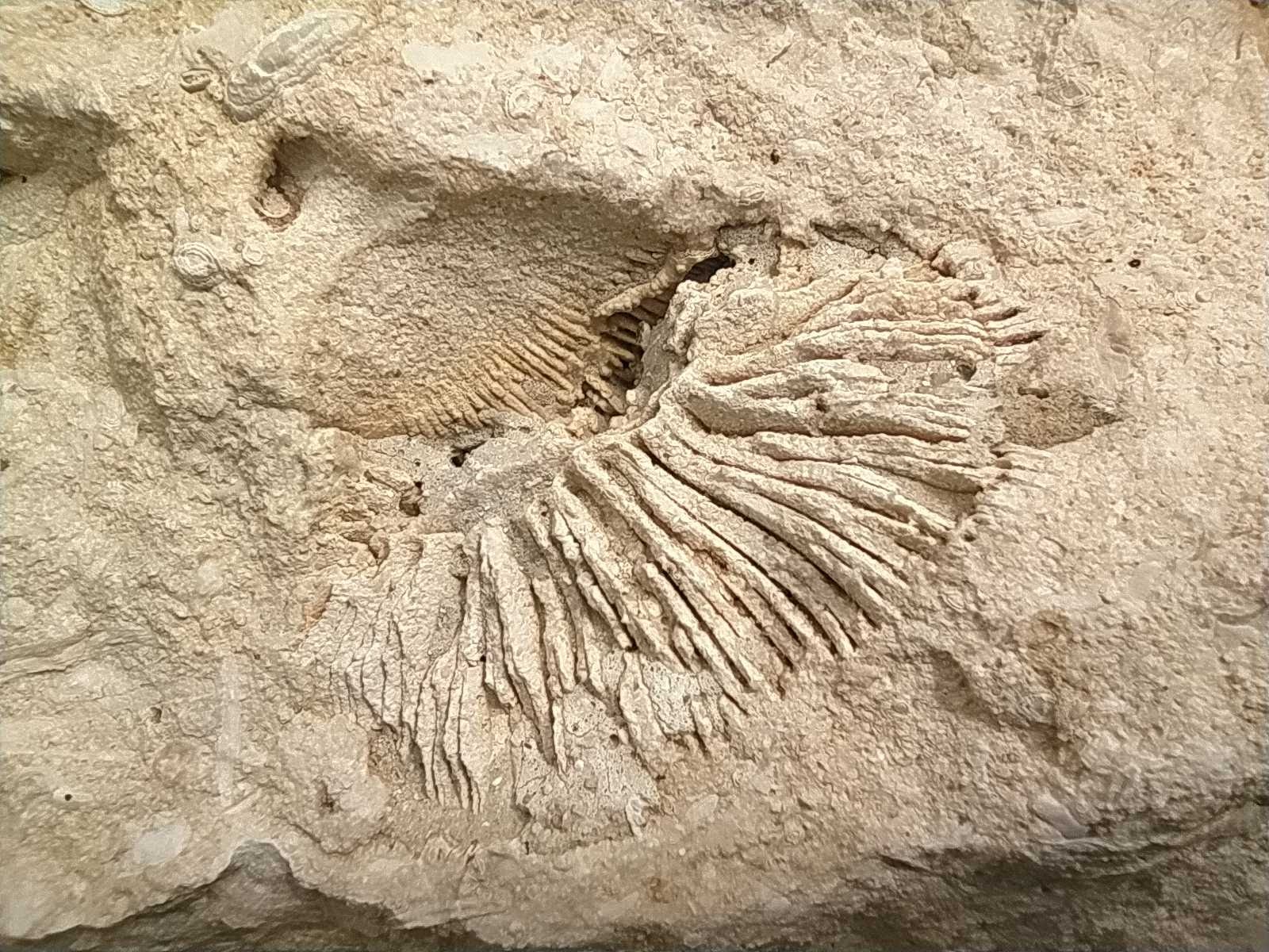 IMG 20231026 114850.jpg