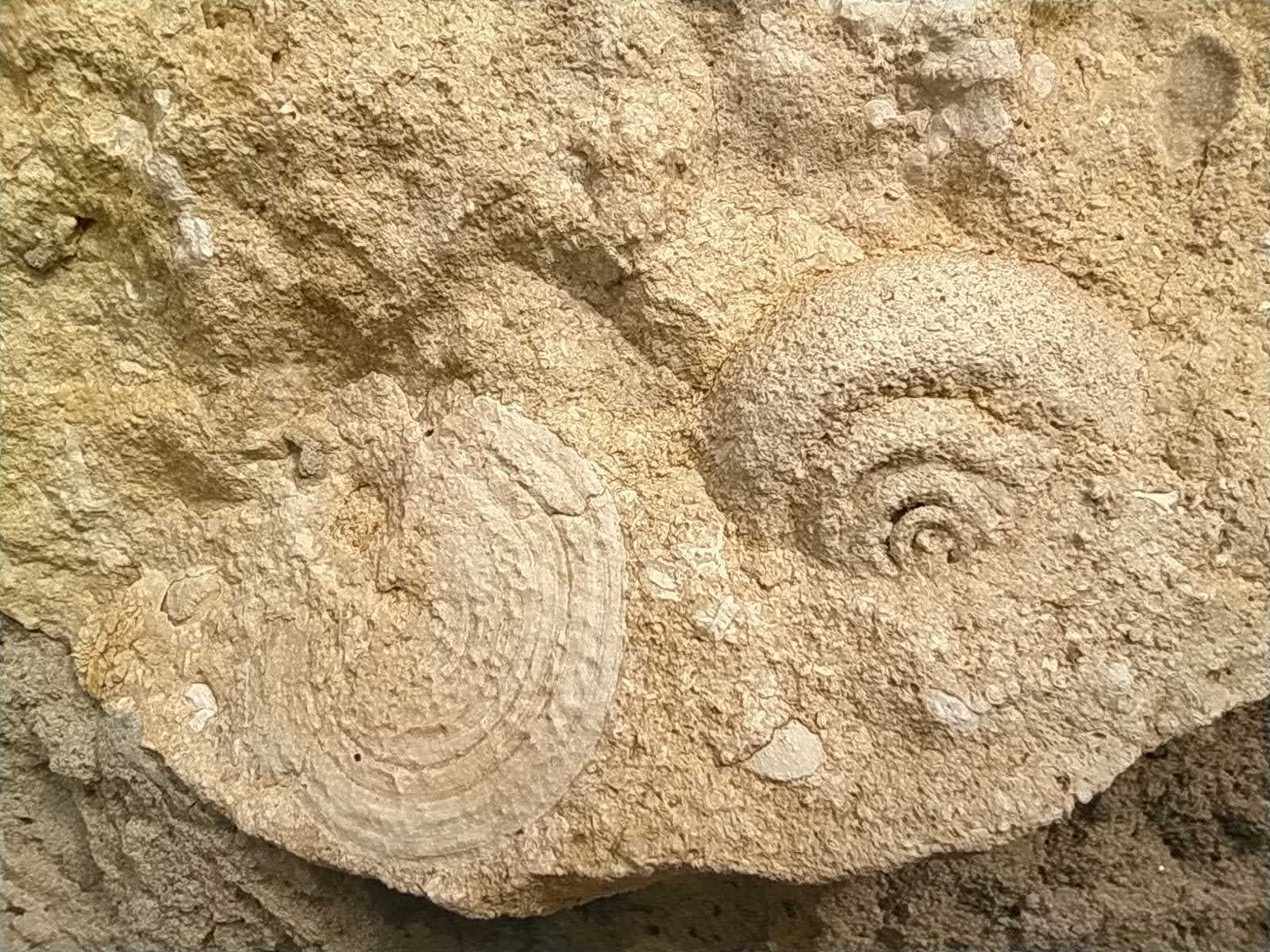 IMG 20231026 114857.jpg