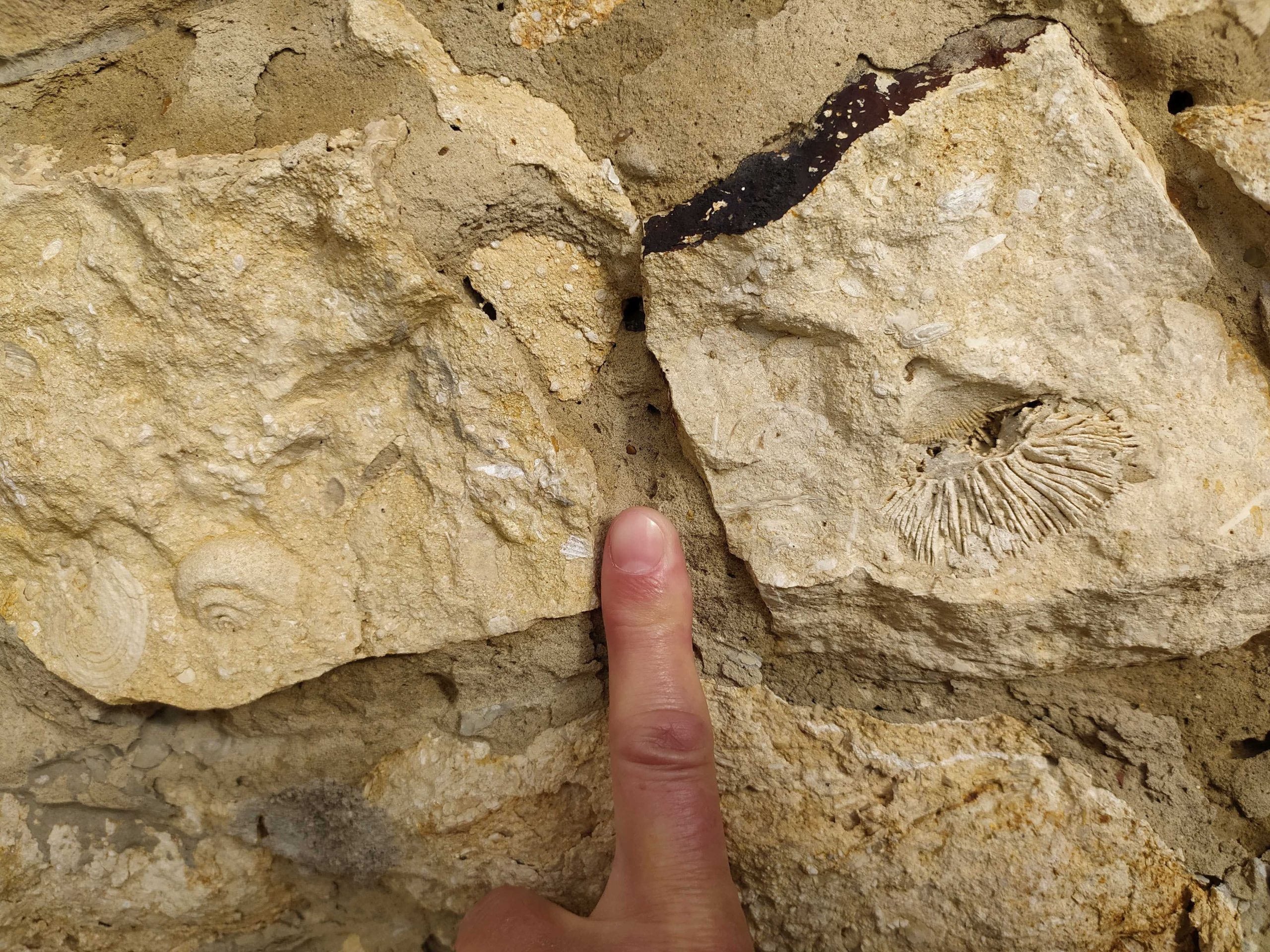 IMG 20231026 114908 Scaled.jpg