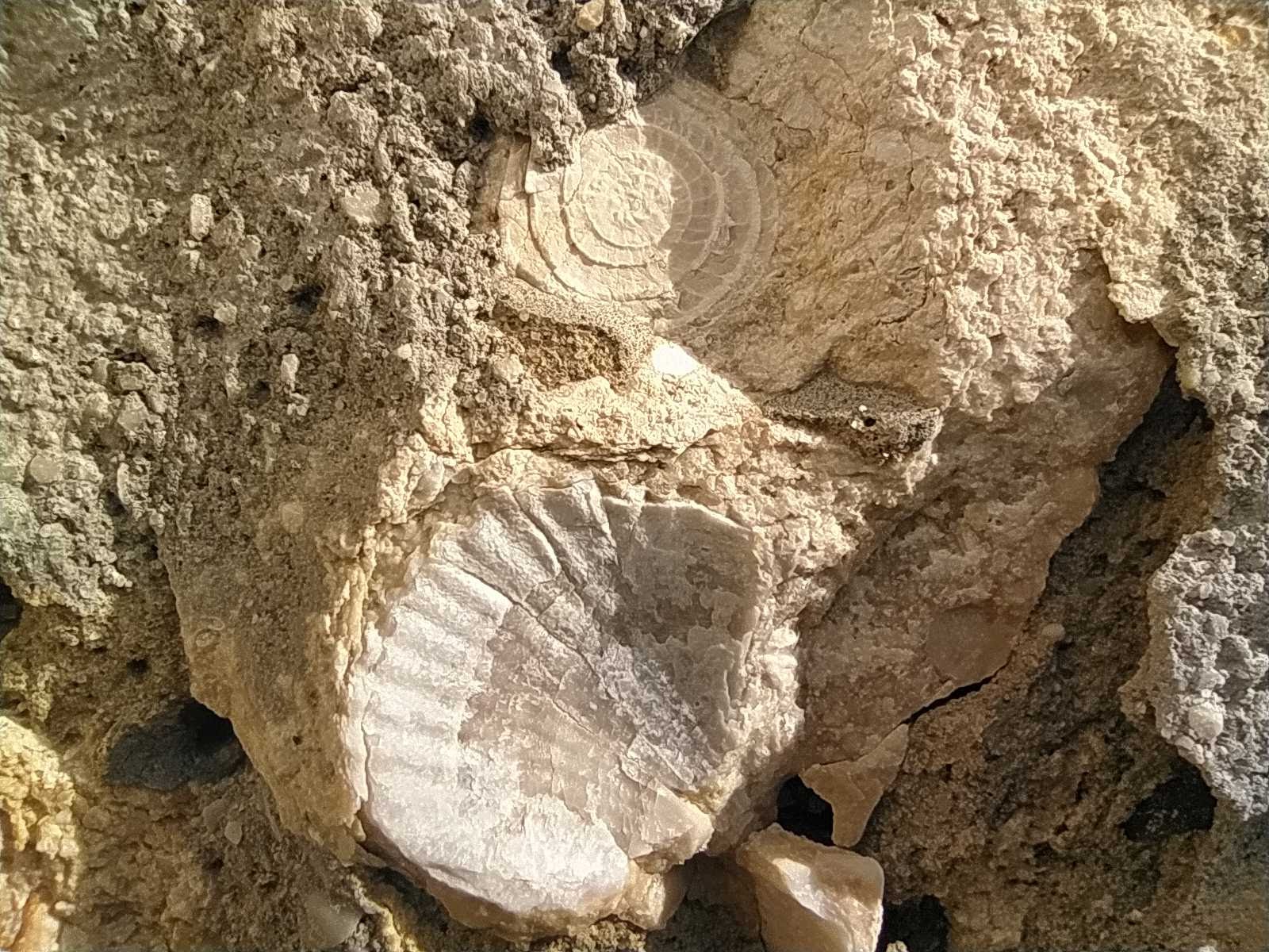 IMG 20231026 114928.jpg