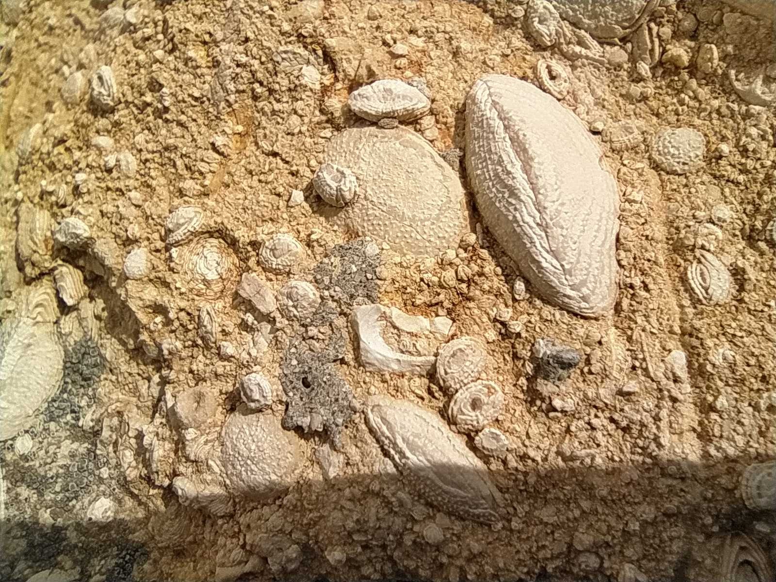 IMG 20231026 115143.jpg