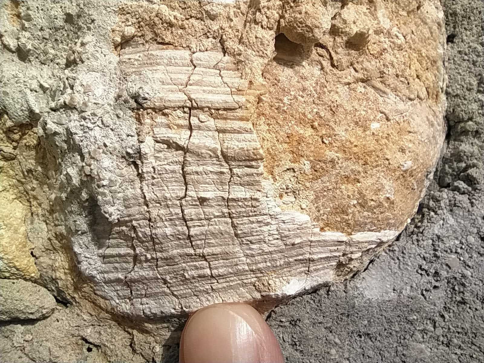 IMG 20231026 115416.jpg